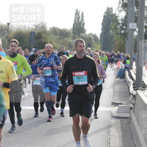 03.10.2024 - Köhlbrandbrückenlauf Fuchs,  Jonas http://msf.ph/oto/7179433 03.10.2024 09:15:32 Position 3 2049, 1513, 1831, 1 meine-sportfotos.de