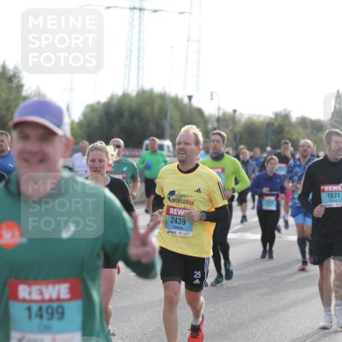 03.10.2024 - Köhlbrandbrückenlauf Fuchs,  Jonas http://msf.ph/oto/7179480 03.10.2024 09:15:32 Position 3 1499, 2439, 1831, 25 meine-sportfotos.de