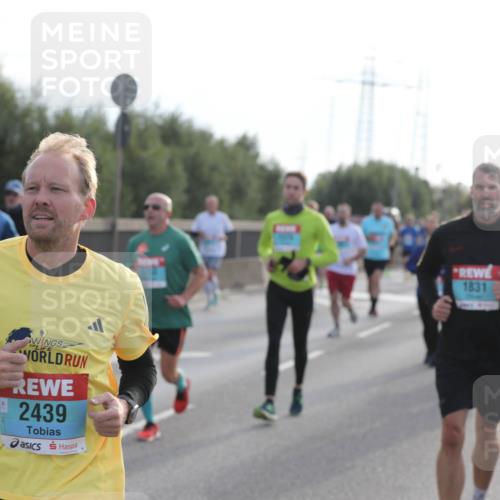 03.10.2024 - Köhlbrandbrückenlauf Fuchs,  Jonas http://msf.ph/oto/7179678 03.10.2024 09:15:35 Position 3 2439, 1831 meine-sportfotos.de
