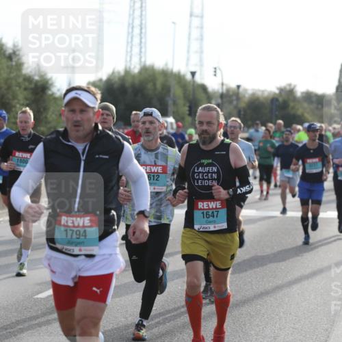 03.10.2024 - Köhlbrandbrückenlauf Fuchs,  Jonas http://msf.ph/oto/7180294 03.10.2024 09:15:53 Position 3 1800, 2326, 1794, 612, 1647 meine-sportfotos.de