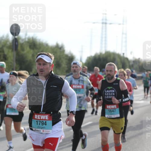 03.10.2024 - Köhlbrandbrückenlauf Fuchs,  Jonas http://msf.ph/oto/7180307 03.10.2024 09:15:53 Position 3 1794, 2612, 1647 meine-sportfotos.de