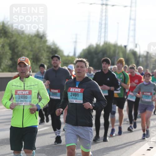 03.10.2024 - Köhlbrandbrückenlauf Fuchs,  Jonas http://msf.ph/oto/7182956 03.10.2024 09:17:47 Position 3 2458, 3603, 2491, 2490, 2420 meine-sportfotos.de