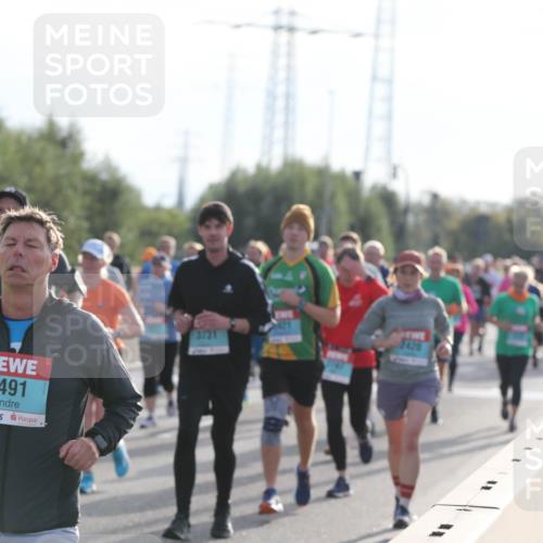 03.10.2024 - Köhlbrandbrückenlauf Fuchs,  Jonas http://msf.ph/oto/7182999 03.10.2024 09:17:48 Position 3 2491, 3731, 8426 meine-sportfotos.de