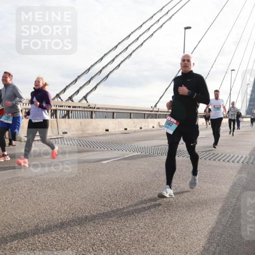 03.10.2024 - Köhlbrandbrückenlauf Matties Gatica Varas http://msf.ph/oto/7183861 03.10.2024 09:25:26 Position 2 143, 1582, 1183 meine-sportfotos.de