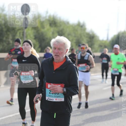 03.10.2024 - Köhlbrandbrückenlauf Fuchs,  Jonas http://msf.ph/oto/7184461 03.10.2024 09:18:57 Position 3 3607, 2500 meine-sportfotos.de