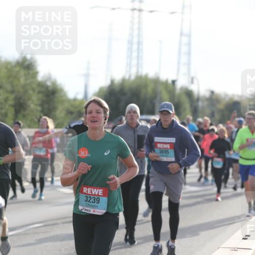 03.10.2024 - Köhlbrandbrückenlauf Fuchs,  Jonas http://msf.ph/oto/7185254 03.10.2024 09:20:12 Position 3 2990, 3014, 3239, 3695 meine-sportfotos.de