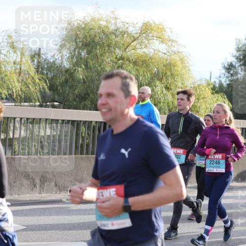 03.10.2024 - Köhlbrandbrückenlauf Fuchs,  Jonas http://msf.ph/oto/7186107 03.10.2024 09:20:51 Position 3 273, 302, 340, 2246, 2984 meine-sportfotos.de