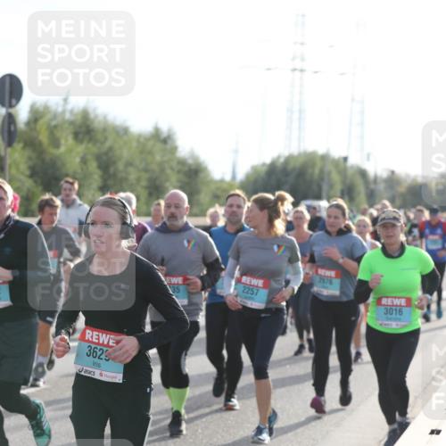 03.10.2024 - Köhlbrandbrückenlauf Fuchs,  Jonas http://msf.ph/oto/7186553 03.10.2024 09:21:03 Position 3 131, 1312, 3629, 2976, 2257, 35, 3016, 11, 111 meine-sportfotos.de