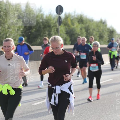 03.10.2024 - Köhlbrandbrückenlauf Fuchs,  Jonas http://msf.ph/oto/7186780 03.10.2024 09:21:14 Position 3 3693 meine-sportfotos.de