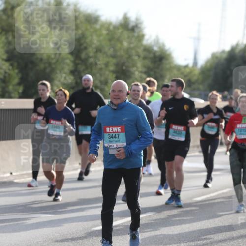 03.10.2024 - Köhlbrandbrückenlauf Fuchs,  Jonas http://msf.ph/oto/7187047 03.10.2024 09:21:26 Position 3 2865, 3447, 1815, 3633 meine-sportfotos.de