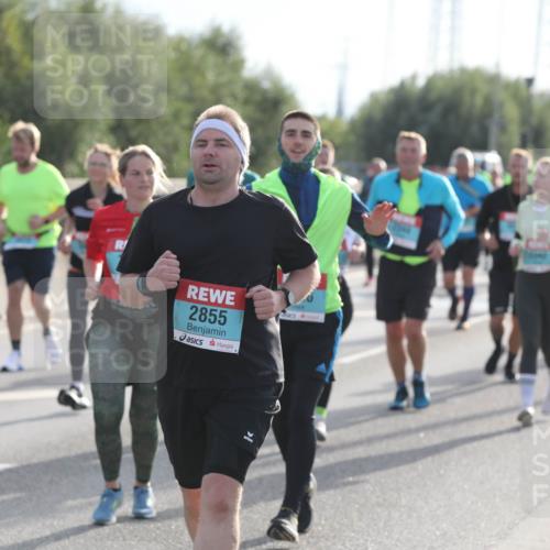 03.10.2024 - Köhlbrandbrückenlauf Fuchs,  Jonas http://msf.ph/oto/7187135 03.10.2024 09:21:29 Position 3 3633, 2855 meine-sportfotos.de