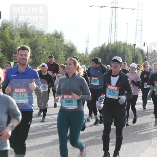 03.10.2024 - Köhlbrandbrückenlauf Fuchs,  Jonas http://msf.ph/oto/7187329 03.10.2024 09:21:42 Position 3 2161, 2611, 55, 1939, 2585, 2692, 1175, 3150 meine-sportfotos.de