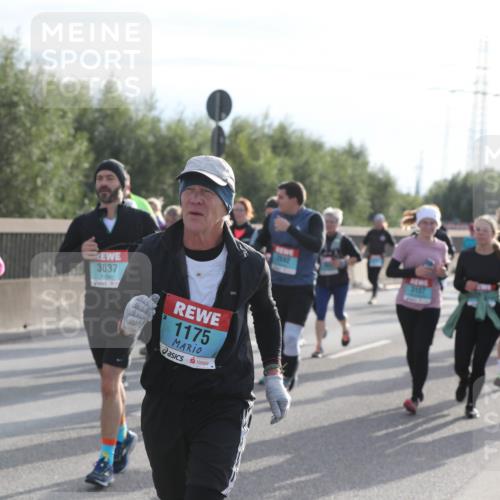 03.10.2024 - Köhlbrandbrückenlauf Fuchs,  Jonas http://msf.ph/oto/7187366 03.10.2024 09:21:45 Position 3 85, 3037, 1175, 2642, 2157 meine-sportfotos.de
