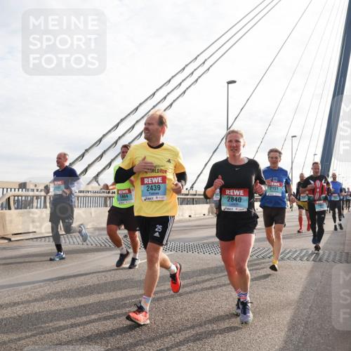 03.10.2024 - Köhlbrandbrückenlauf Matties Gatica Varas http://msf.ph/oto/7188479 03.10.2024 09:26:32 Position 2 1464, 2439, 2840, 2151, 245 meine-sportfotos.de