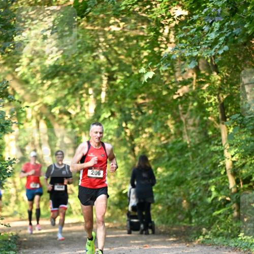 06.10.2024 - Bramfelder Halbmarathon 2024 Dr. Thomas Lammeyer http://msf.ph/oto/7333931 06.10.2024 09:47:43 Laufen 206 meine-sportfotos.de