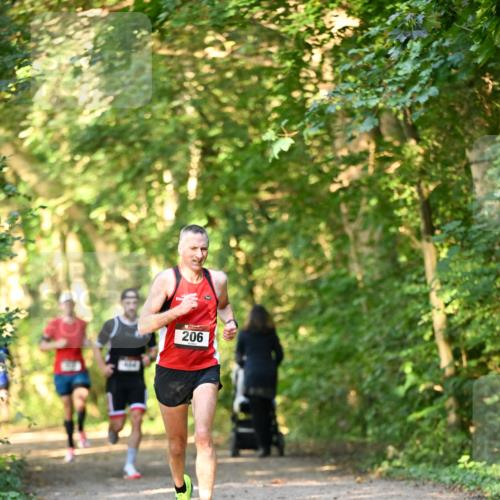06.10.2024 - Bramfelder Halbmarathon 2024 Dr. Thomas Lammeyer http://msf.ph/oto/7333936 06.10.2024 09:47:43 Laufen 206 meine-sportfotos.de