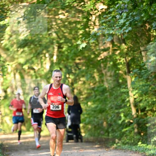 06.10.2024 - Bramfelder Halbmarathon 2024 Dr. Thomas Lammeyer http://msf.ph/oto/7333938 06.10.2024 09:47:44 Laufen 206 meine-sportfotos.de