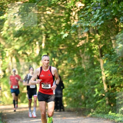 06.10.2024 - Bramfelder Halbmarathon 2024 Dr. Thomas Lammeyer http://msf.ph/oto/7333940 06.10.2024 09:47:44 Laufen 206 meine-sportfotos.de