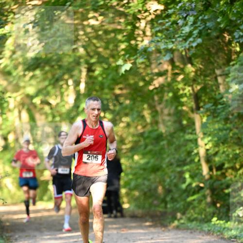 06.10.2024 - Bramfelder Halbmarathon 2024 Dr. Thomas Lammeyer http://msf.ph/oto/7333941 06.10.2024 09:47:44 Laufen 206 meine-sportfotos.de