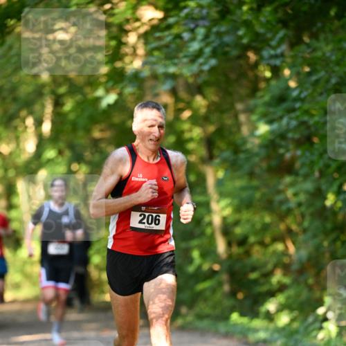 06.10.2024 - Bramfelder Halbmarathon 2024 Dr. Thomas Lammeyer http://msf.ph/oto/7333952 06.10.2024 09:47:46 Laufen 206 meine-sportfotos.de