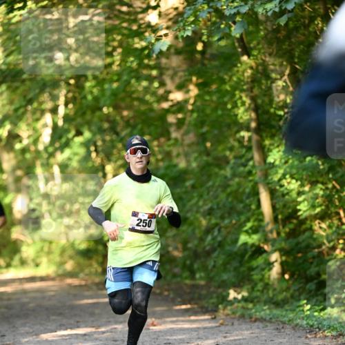06.10.2024 - Bramfelder Halbmarathon 2024 Dr. Thomas Lammeyer http://msf.ph/oto/7334219 06.10.2024 09:49:28 Laufen 250 meine-sportfotos.de