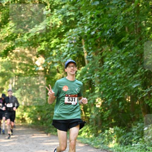 06.10.2024 - Bramfelder Halbmarathon 2024 Dr. Thomas Lammeyer http://msf.ph/oto/7334593 06.10.2024 09:51:36 Laufen 531 meine-sportfotos.de