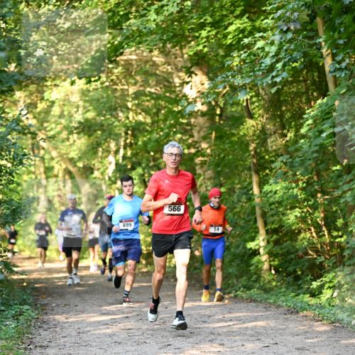 06.10.2024 - Bramfelder Halbmarathon 2024 Dr. Thomas Lammeyer http://msf.ph/oto/7334639 06.10.2024 09:51:52 Laufen 499, 566, 14 meine-sportfotos.de