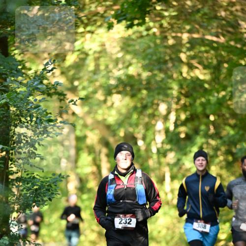 06.10.2024 - Bramfelder Halbmarathon 2024 Dr. Thomas Lammeyer http://msf.ph/oto/7335006 06.10.2024 09:53:38 Laufen 232, 388 meine-sportfotos.de