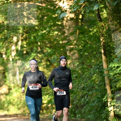 06.10.2024 - Bramfelder Halbmarathon 2024 Dr. Thomas Lammeyer http://msf.ph/oto/7335032 06.10.2024 09:53:47 Laufen 456, 202 meine-sportfotos.de
