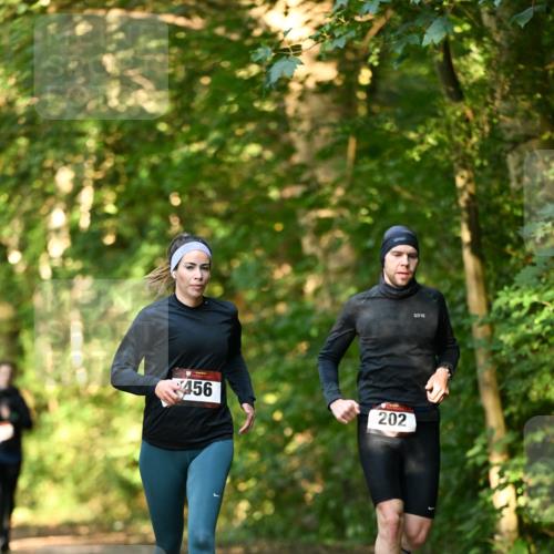 06.10.2024 - Bramfelder Halbmarathon 2024 Dr. Thomas Lammeyer http://msf.ph/oto/7335040 06.10.2024 09:53:48 Laufen 456, 202 meine-sportfotos.de