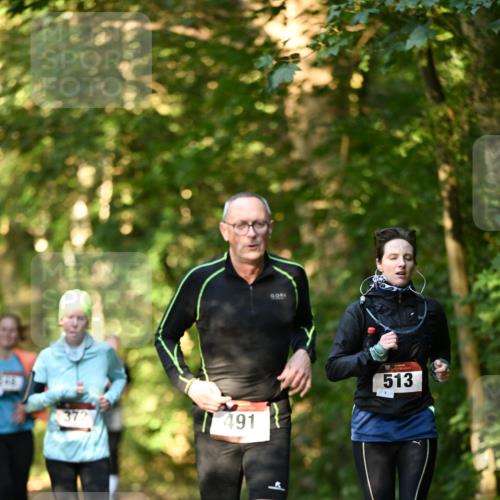 06.10.2024 - Bramfelder Halbmarathon 2024 Dr. Thomas Lammeyer http://msf.ph/oto/7335072 06.10.2024 09:53:55 Laufen 372, 491, 513 meine-sportfotos.de