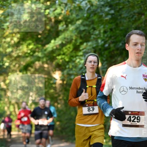 06.10.2024 - Bramfelder Halbmarathon 2024 Dr. Thomas Lammeyer http://msf.ph/oto/7335157 06.10.2024 09:54:13 Laufen 5715, 83, 33, 429 meine-sportfotos.de