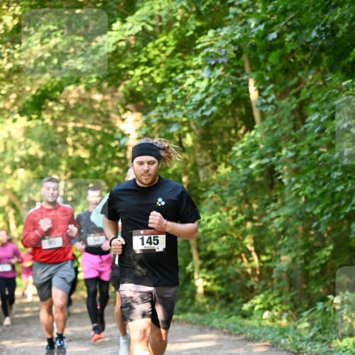 06.10.2024 - Bramfelder Halbmarathon 2024 Dr. Thomas Lammeyer http://msf.ph/oto/7335163 06.10.2024 09:54:15 Laufen 95, 145, 82 meine-sportfotos.de