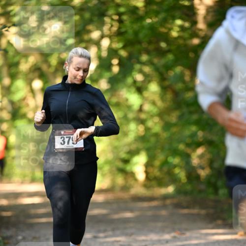 06.10.2024 - Bramfelder Halbmarathon 2024 Dr. Thomas Lammeyer http://msf.ph/oto/7335630 06.10.2024 09:56:48 Laufen 379 meine-sportfotos.de
