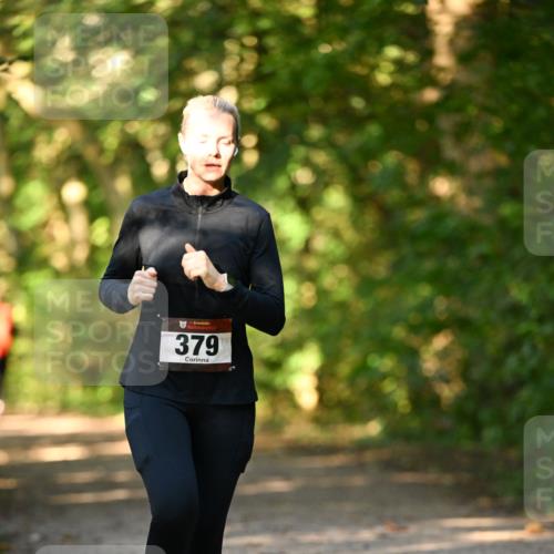 06.10.2024 - Bramfelder Halbmarathon 2024 Dr. Thomas Lammeyer http://msf.ph/oto/7335634 06.10.2024 09:56:49 Laufen 379 meine-sportfotos.de