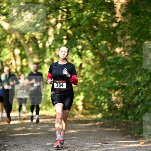 06.10.2024 - Bramfelder Halbmarathon 2024 Dr. Thomas Lammeyer http://msf.ph/oto/7335655 06.10.2024 09:57:14 Laufen 364 meine-sportfotos.de