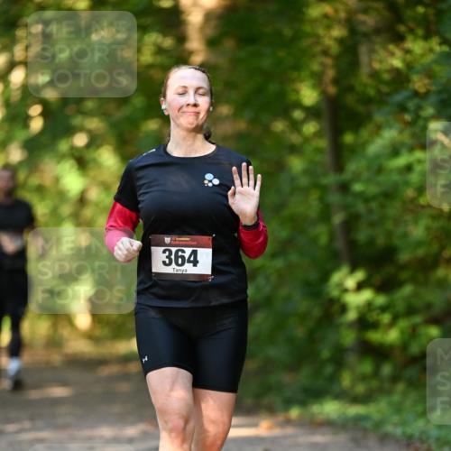 06.10.2024 - Bramfelder Halbmarathon 2024 Dr. Thomas Lammeyer http://msf.ph/oto/7335678 06.10.2024 09:57:17 Laufen 33, 364 meine-sportfotos.de