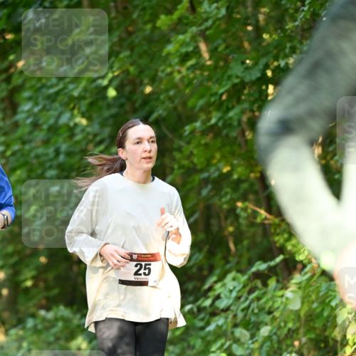 06.10.2024 - Bramfelder Halbmarathon 2024 Dr. Thomas Lammeyer http://msf.ph/oto/7335720 06.10.2024 09:57:28 Laufen 33, 25 meine-sportfotos.de