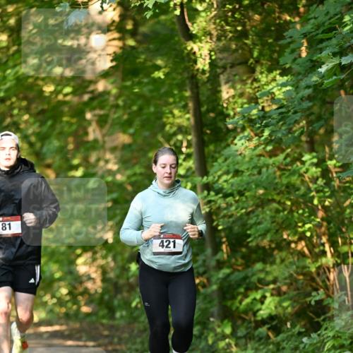 06.10.2024 - Bramfelder Halbmarathon 2024 Dr. Thomas Lammeyer http://msf.ph/oto/7335855 06.10.2024 10:00:00 Laufen 81, 421 meine-sportfotos.de