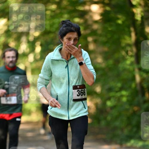 06.10.2024 - Bramfelder Halbmarathon 2024 Dr. Thomas Lammeyer http://msf.ph/oto/7335891 06.10.2024 10:00:35 Laufen 58, 366 meine-sportfotos.de