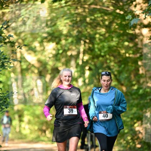 06.10.2024 - Bramfelder Halbmarathon 2024 Dr. Thomas Lammeyer http://msf.ph/oto/7335944 06.10.2024 10:00:52 Laufen 39, 59, 40 meine-sportfotos.de