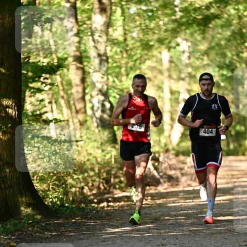06.10.2024 - Bramfelder Halbmarathon 2024 Dr. Thomas Lammeyer http://msf.ph/oto/7336017 06.10.2024 10:07:44 Laufen 206, 404 meine-sportfotos.de