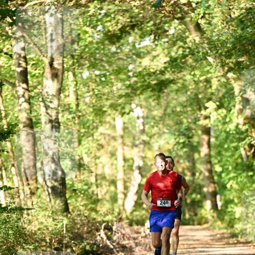 06.10.2024 - Bramfelder Halbmarathon 2024 Dr. Thomas Lammeyer http://msf.ph/oto/7336060 06.10.2024 10:08:27 Laufen 240 meine-sportfotos.de