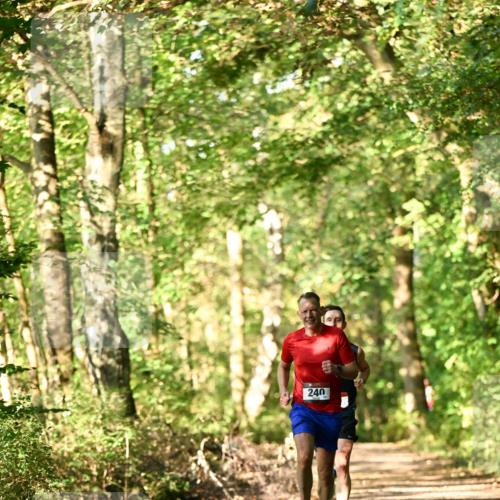 06.10.2024 - Bramfelder Halbmarathon 2024 Dr. Thomas Lammeyer http://msf.ph/oto/7336061 06.10.2024 10:08:27 Laufen 240 meine-sportfotos.de