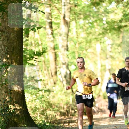 06.10.2024 - Bramfelder Halbmarathon 2024 Dr. Thomas Lammeyer http://msf.ph/oto/7336180 06.10.2024 10:10:16 Laufen 477, 55 meine-sportfotos.de