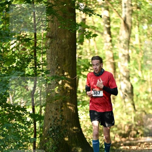 06.10.2024 - Bramfelder Halbmarathon 2024 Dr. Thomas Lammeyer http://msf.ph/oto/7336233 06.10.2024 10:11:36 Laufen 387 meine-sportfotos.de