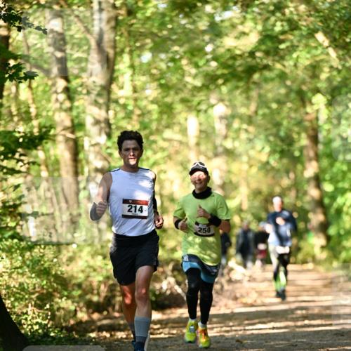 06.10.2024 - Bramfelder Halbmarathon 2024 Dr. Thomas Lammeyer http://msf.ph/oto/7336253 06.10.2024 10:11:47 Laufen 214, 250 meine-sportfotos.de