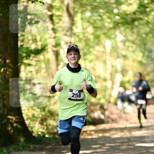 06.10.2024 - Bramfelder Halbmarathon 2024 Dr. Thomas Lammeyer http://msf.ph/oto/7336270 06.10.2024 10:11:50 Laufen 250 meine-sportfotos.de