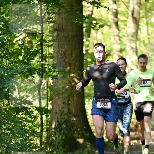 06.10.2024 - Bramfelder Halbmarathon 2024 Dr. Thomas Lammeyer http://msf.ph/oto/7336428 06.10.2024 10:13:50 Laufen 164, 03, 88 meine-sportfotos.de