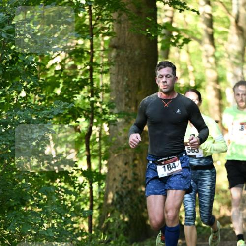 06.10.2024 - Bramfelder Halbmarathon 2024 Dr. Thomas Lammeyer http://msf.ph/oto/7336431 06.10.2024 10:13:50 Laufen 164, 563, 8 meine-sportfotos.de